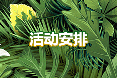 活动安排