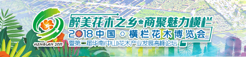 2018年回顾