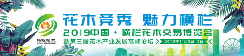 2019年回顾